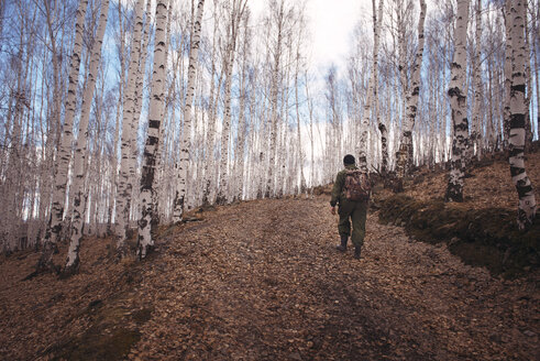 Männlicher Wanderer wacht im Wald auf - CAVF13033