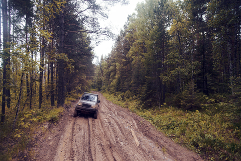 Geländewagen auf unbefestigtem Weg im Wald, lizenzfreies Stockfoto