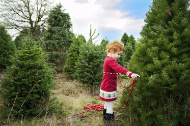 Mädchen stehend neben Weihnachtsbaum auf Feld gegen Himmel - CAVF13164