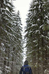 Rückansicht eines Mannes mit Rucksack, der inmitten von schneebedeckten Kiefern geht - CAVF13299