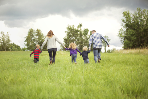 Rückansicht einer Familie, die sich auf einer Wiese vergnügt, lizenzfreies Stockfoto