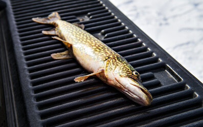 Hochformatige Ansicht von Fisch auf dem Grill - CAVF13939