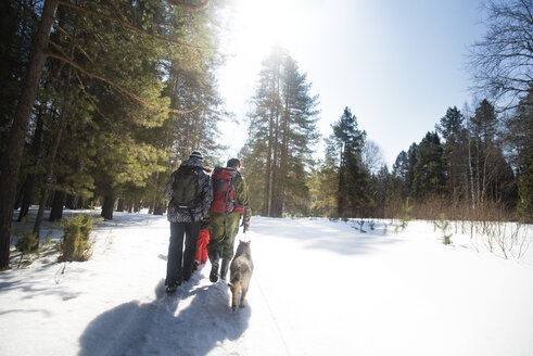 Rückansicht von Freunden und Hund, die an einem sonnigen Tag auf einem schneebedeckten Feld spazieren gehen - CAVF14052