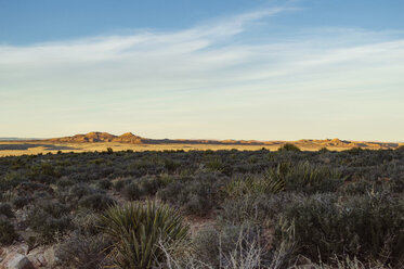 Scenic view of field at Joshua Tree National Park against sky - CAVF14225