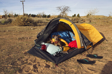 Zwergdackel sitzt neben einem Mann, der im Zelt auf einem Feld schläft - CAVF14227