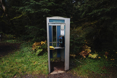 Telefonzelle im Wald - CAVF14367