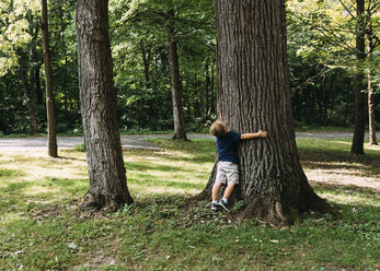 Junge, der einen Baum umarmt, während er auf einem grasbewachsenen Feld im Wald steht - CAVF14534