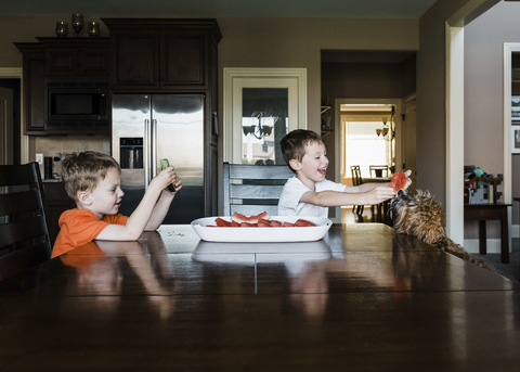 Boy looking at happy brother feeding watermelon to dog at home stock photo
