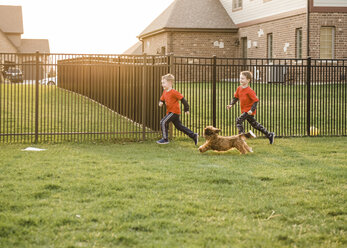 Verspielte Brüder laufen mit Hund gegen den Zaun im Hof - CAVF14579