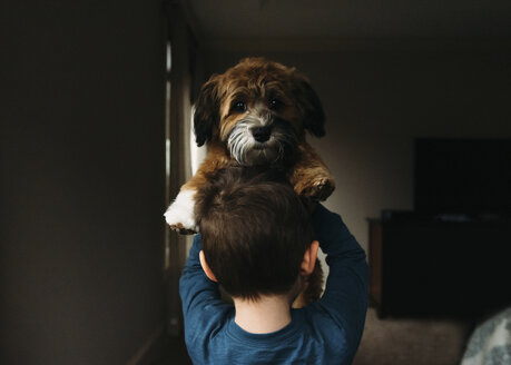 Porträt eines von einem Jungen getragenen Hundes in der Dunkelkammer - CAVF14601