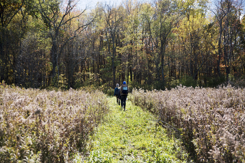 Rückansicht von Wanderern, die im Herbst auf einem Feld spazieren gehen, lizenzfreies Stockfoto