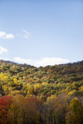 Idyllischer Blick auf Herbstbäume vor blauem Himmel - CAVF15014