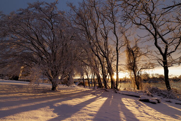 Scenic view of snow covered bare trees during sunset - CAVF15110
