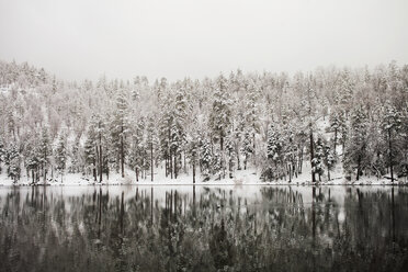 Schneebedeckte Bäume am See gegen den Himmel - CAVF15213