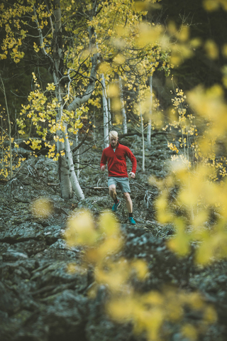 Mann joggt im Wald, lizenzfreies Stockfoto