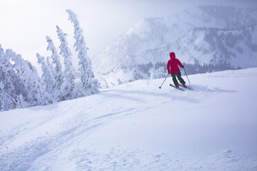 Rear view of woman skiing on snow covered landscape - CAVF15252