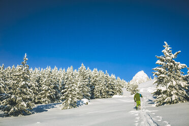 Rückansicht eines Mannes beim Skifahren auf einem schneebedeckten Feld vor einem klaren blauen Himmel - CAVF15261
