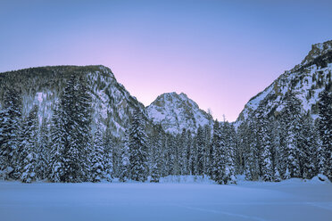 Schneebedeckte Bäume und Berge vor klarem Himmel - CAVF15276