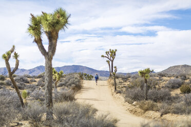 Rear view of male hiker running on road at Joshua Tree National Park during sunny day - CAVF15323