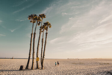 Menschen gehen durch Palmen am Strand gegen den Himmel - CAVF15432