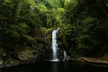 Scenic view of waterfall in forest - CAVF15447