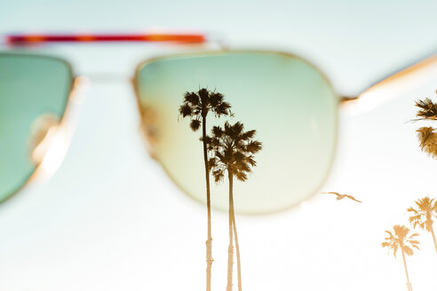 Palmen durch eine Sonnenbrille gesehen gegen den klaren Himmel - CAVF15454
