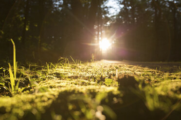 Surface level of landscape during sunset - CAVF15457