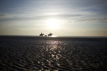 Mid distance view of silhouette people horseback riding at sandbar against sky during sunset - CAVF15518