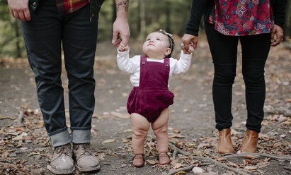 Tiefschnitt von Eltern, die die Hände ihrer Tochter halten, während sie auf einem Feld im Wald stehen - CAVF15552
