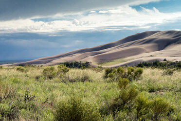 Idyllischer Blick auf die Wüste gegen den bewölkten Himmel im Great Sand Dunes National Park mit Pflanzen auf dem Feld im Vordergrund - CAVF15595
