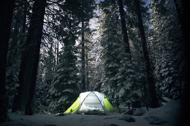 Illuminated tent on snow covered field at Yosemite National Park - CAVF15855