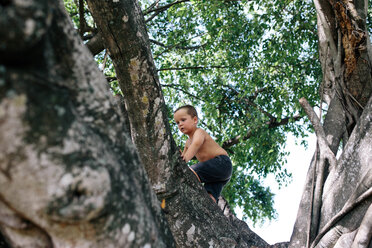 Low angle view of shirtless boy climbing tree at park - CAVF16021