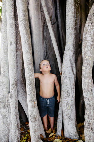 Hemdloser Junge schaut nach oben, während er im Park an Baumstämmen steht, lizenzfreies Stockfoto