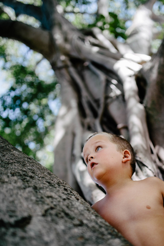Niedriger Blickwinkel auf einen nachdenklichen Jungen ohne Hemd, der nach oben schaut, während er an einem Baum im Park steht, lizenzfreies Stockfoto