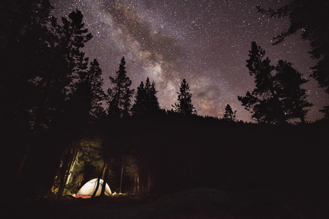 Beleuchtetes Zelt im Wald gegen den nächtlichen Himmel, lizenzfreies Stockfoto