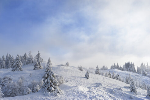 Landschaftliche Ansicht von Kiefern auf schneebedeckten Berg gegen bewölkten Himmel - CAVF16237