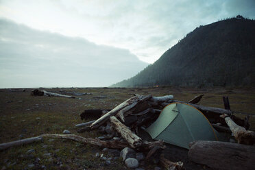 Zelt und Baumstämme auf einem Feld vor bewölktem Himmel in der Abenddämmerung - CAVF16249