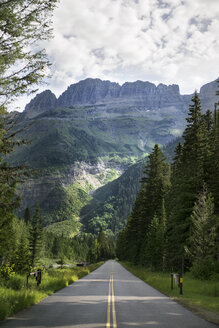Landstraße, die zum Berg im Glacier National Park führt - CAVF16283