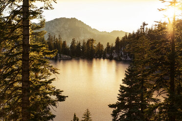 Scenic view of lake surrounded by trees during sunset - CAVF16288