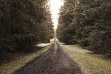Empty dirt road amidst trees - CAVF16771