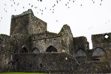 Low angle view of birds flying over old abandoned castle - CAVF16946