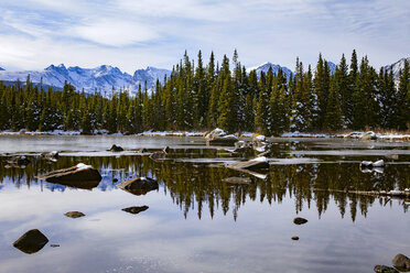 Scenic view of frozen lake by trees against sky - CAVF16963