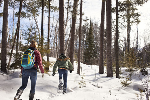 Rückansicht eines männlichen und weiblichen Wanderers, die im Winter im Wald spazieren gehen, lizenzfreies Stockfoto