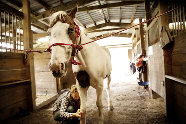 Frau bandagiert Bein eines Pferdes im Stall - CAVF17221