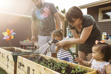Eltern mit Kindern beim Gießen von Pflanzen im Hinterhof - CAVF17282