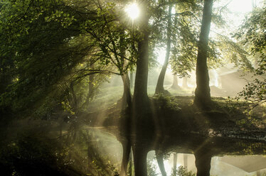 Schöner Blick auf einen Teich im Wald an einem sonnigen Tag - CAVF17373