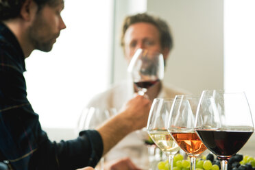 Männliche Freunde trinken Wein im Verkostungsraum - CAVF17408