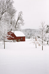 Barn by bare trees on snow covered field against sky - CAVF17499