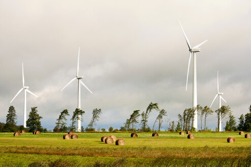 Windmühle auf einem Feld vor bewölktem Himmel - CAVF17599
