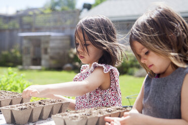 Mädchenschwestern pflanzen Setzlinge im sonnigen Garten - CAIF20202